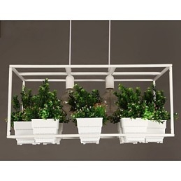Moderne Pendelleuchte im zeitgenössischen dekorativen Design (ohne Pflanzen)