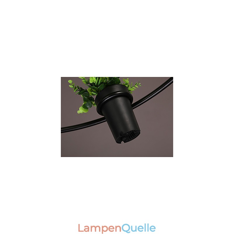 Moderne Pendelleuchte im zeitgenössischen dekorativen Design (ohne Pflanzen)
