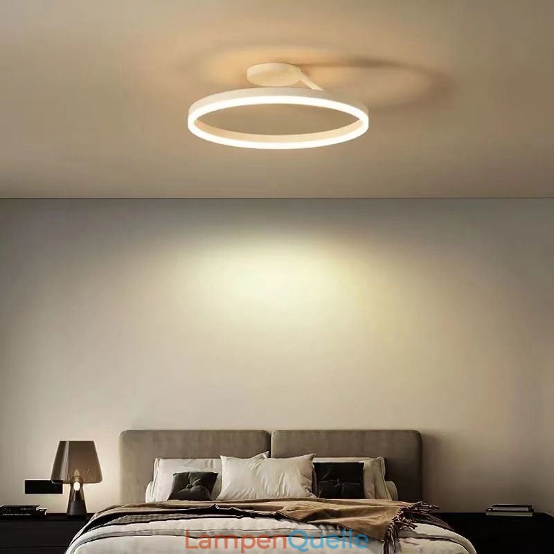 Moderne Deckenleuchte mit Kreis-Beleuchtung und Acryl-Lampenschirm