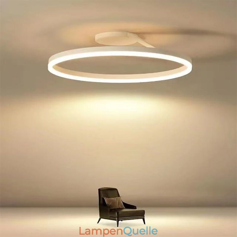 Moderne Deckenleuchte mit Kreis-Beleuchtung und Acryl-Lampenschirm