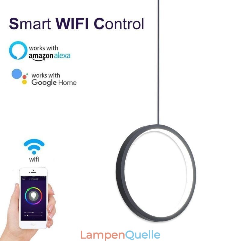 Minimalistische Ring Pendelleuchte Dekorative Deckenleuchte