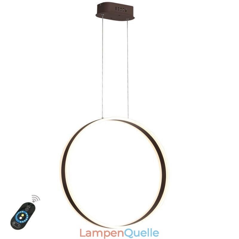 Nordische Pendelleuchte Acryl Ringform Pendelleuchte