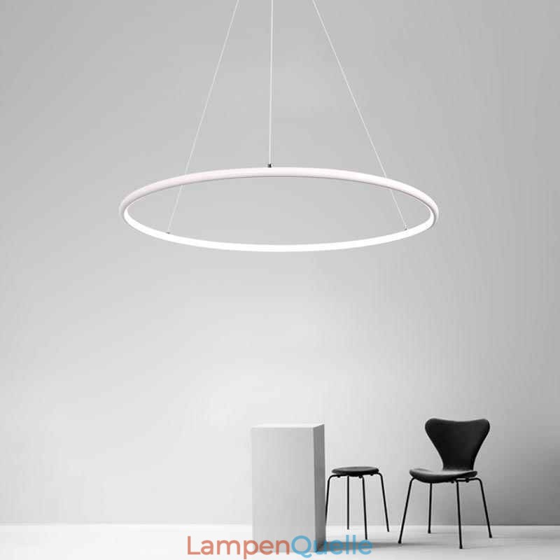Moderne Pendelleuchte Kreislampe 60cm 80cm