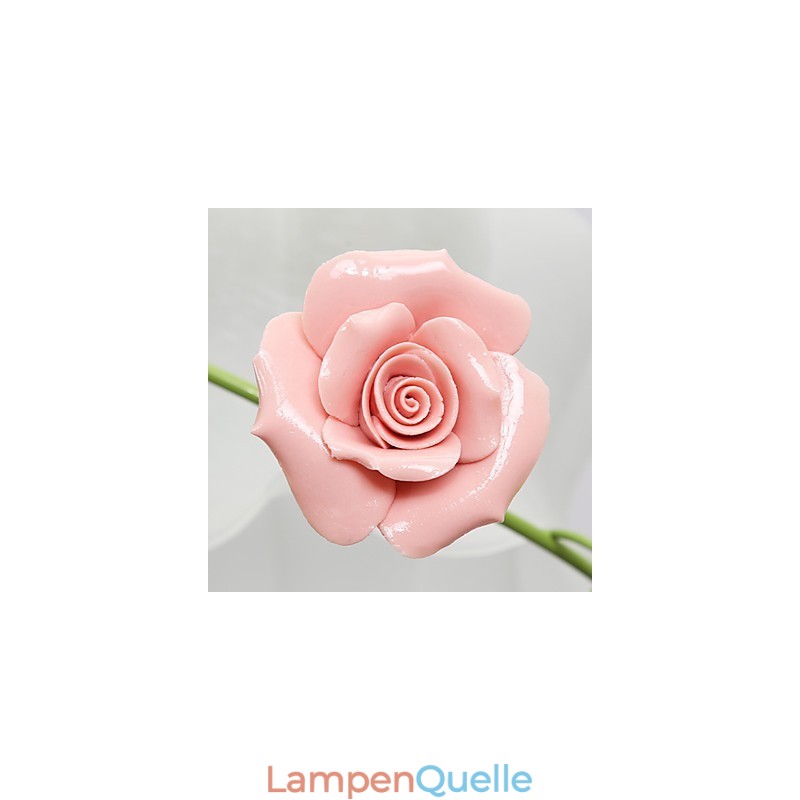 Valentinstag: Die Blumen und Pflanzen des Rosengartens absorbieren das Licht der Kuppel