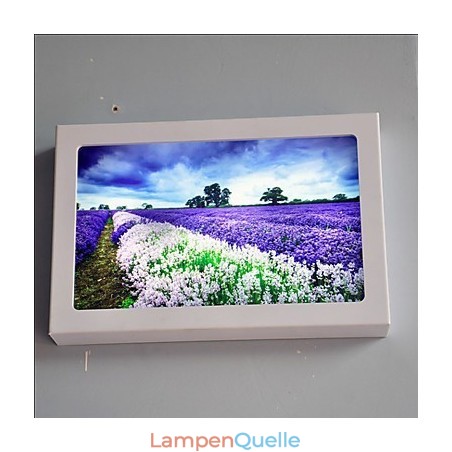 Integrierte moderne zeitgenössische moderne zeitgenössische Malerei-Funktion für Ambient Light Wandleuchten Integrierte moderne zeitgenössische moderne zeitgenössische Malerei-Funktion für Ambient Light Wandleuchten