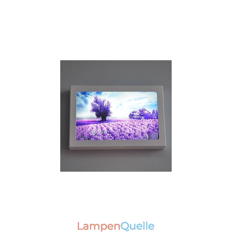 Integrierte moderne zeitgenössische moderne zeitgenössische Malerei-Funktion für Ambient Light Wandleuchten