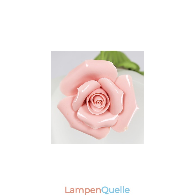 Gartenblumen und -pflanzen zum Valentinstag absorbieren Kuppellicht