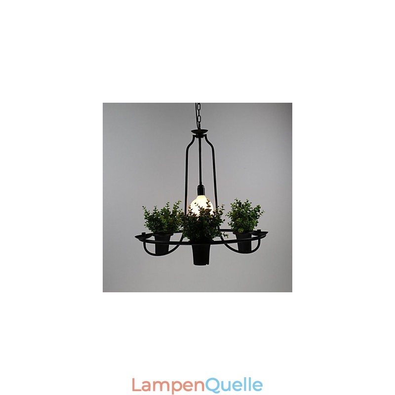 Mediterrane Gartenblumen Licht