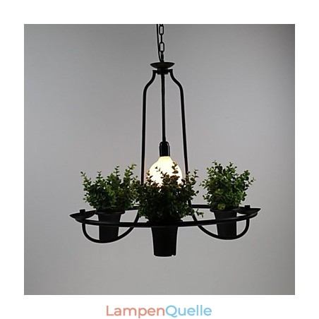 Mediterrane Gartenblumen Licht Mediterrane Gartenblumen Licht