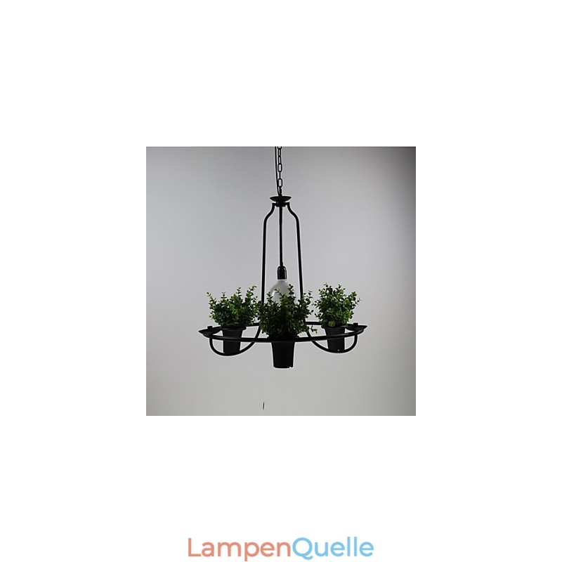 Mediterrane Gartenblumen Licht