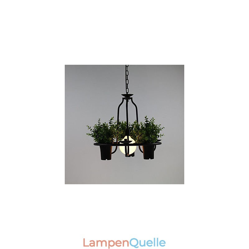 Mediterrane Gartenblumen Licht