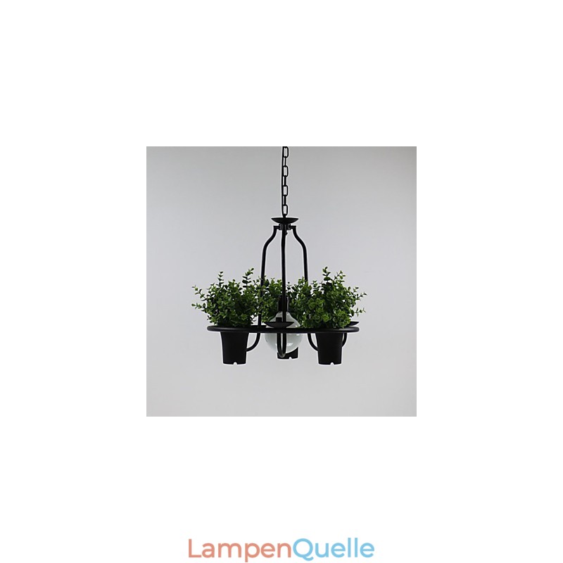 Mediterrane Gartenblumen Licht